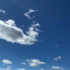 Meet your Posher, Laila